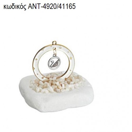 ΚΥΚΝΟΣ ΜΕΣΑ ΣΕ ΚΥΚΛΟ ΜΕ ΛΕΥΚΟ ΣΜΑΛΤΟ ΠΑΝΩ ΣΕ ΒΟΤΣΑΛΟ ΑΝΤ-4920/41165 